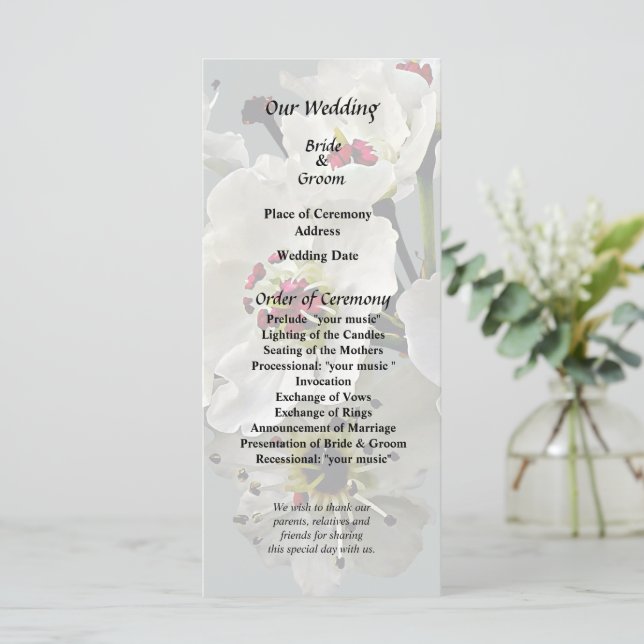 Vita päronblommor i blomning program (Stående Fram)