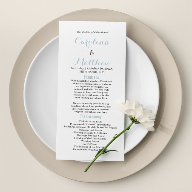 Vita pastellblå program med enkel elegant (Simple elegant white pastel blue modern Program)