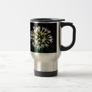 Vita Pentas Resemugg
