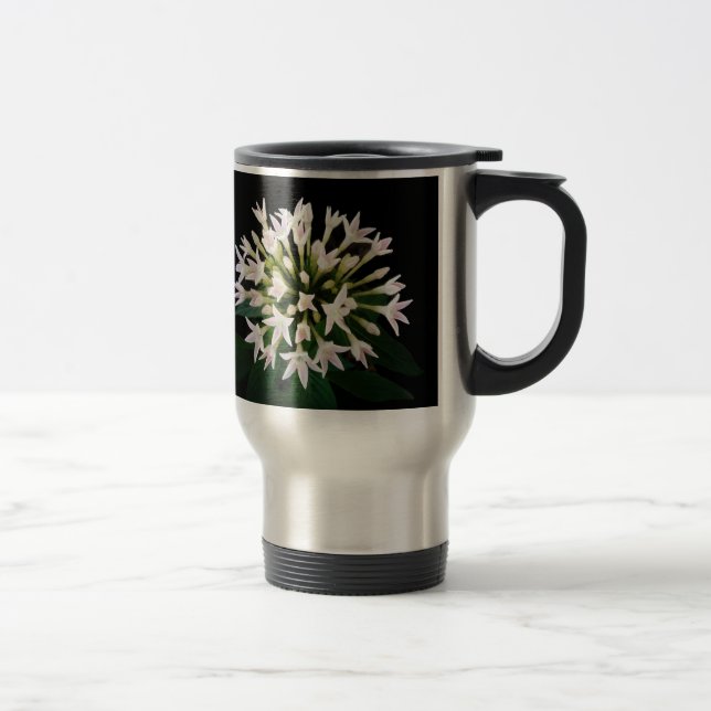 Vita Pentas Resemugg (Höger)