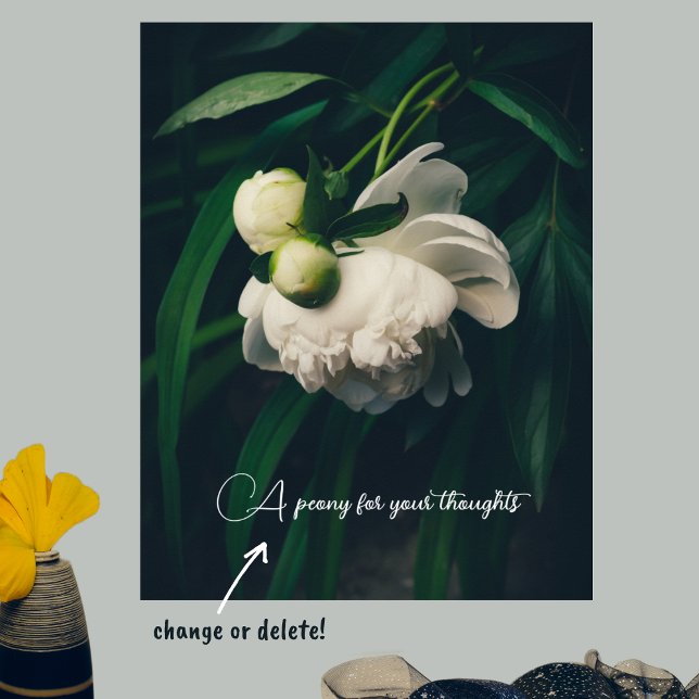 Vita peonier poster (Skapare uppladdad)