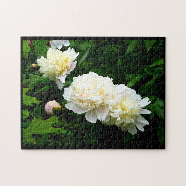Vita Peony Trio Pussel (Horisontell)