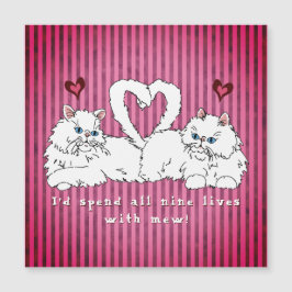 Vita persiska katter med Hearts Valentine's