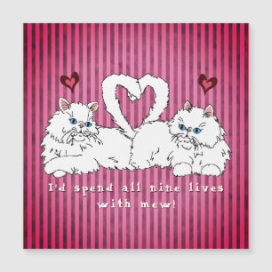 Vita persiska katter med Hearts Valentine's