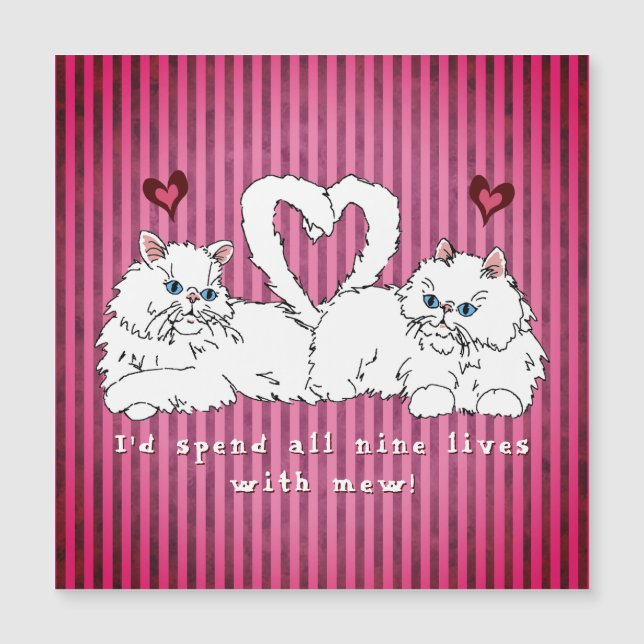 Vita persiska katter med Hearts Valentine's (Framsida)