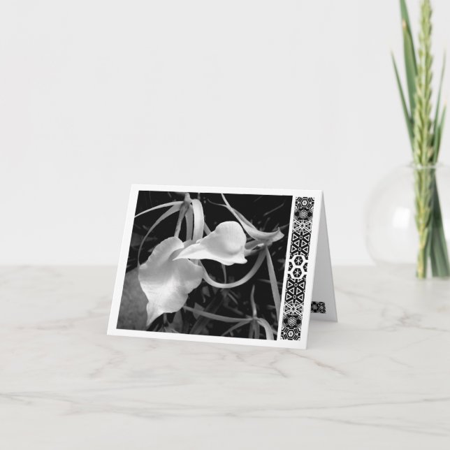 Vita pilar kort (Framsida)