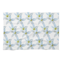 Vita plumeria Blooms