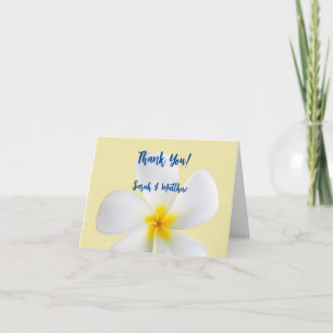 Vita plumeria på Gult, tropiska, Blommigt. Tack Kort