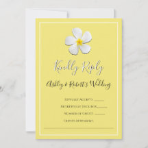 Vita plumeriablommor på Gult, OSA