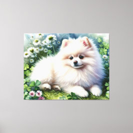 Vita Pommern Hund Watercolor Klöver Fält Canvastryck