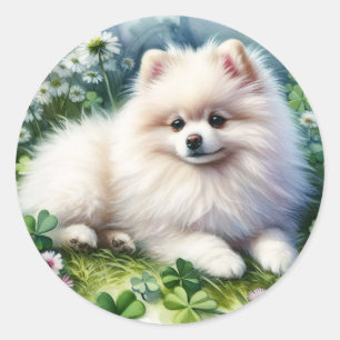 Vita Pommern Hund Watercolor Klöver Fält Runt Klistermärke