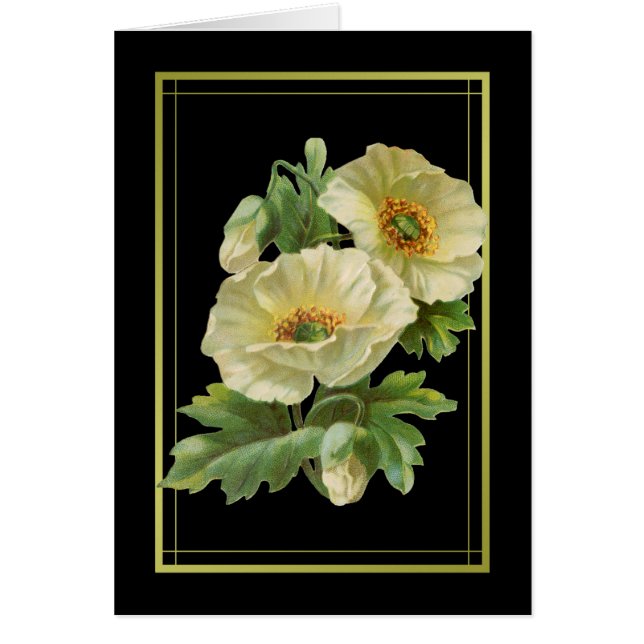 Vita poppies - tackkort OBS kort (Framsidan)