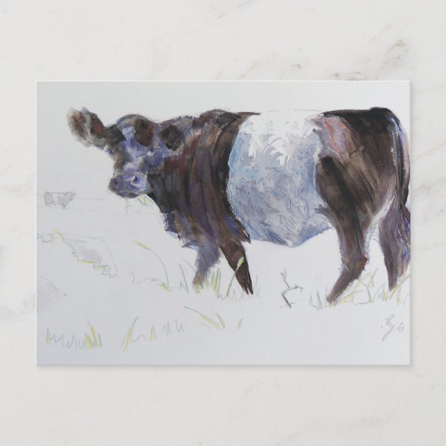 Vita Rand Vykort (Framsida)