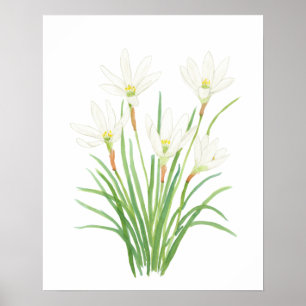 vita regnblommor med flytande vattenfärg poster