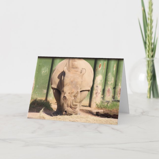 Vita rhino kort (Framsida)