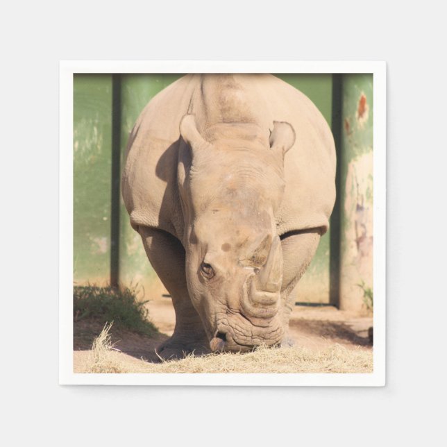 Vita rhino pappersservett (Framsidan)