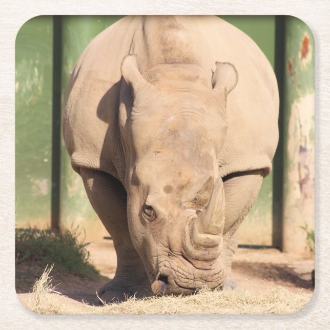 Vita rhino underlägg papper kvadrat (Framsidan)