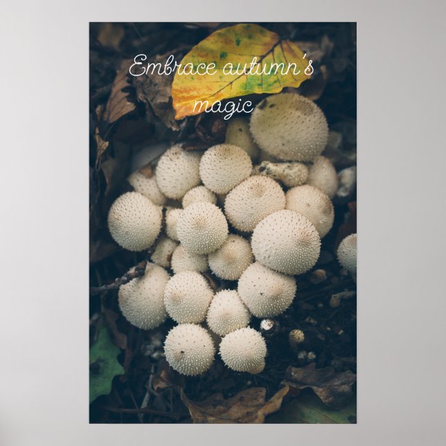 Vita röksvampar bland höstlöv poster (Framsidan)