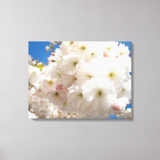Vita Rosa Blommor Fotografi Canvas Vitt