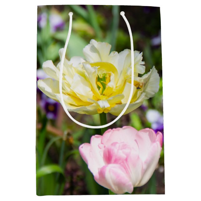 Vita, rosa och gult tulpaner i trädgården (Framsidan)