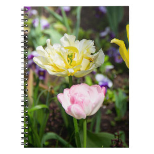 Vita, rosa och gult tulpaner i trädgården anteckningsbok