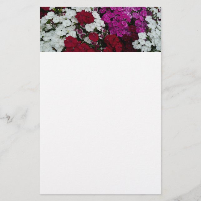 Vita, Rosa och Röda dianthus-Blommigten Brevpapper (Framsida)