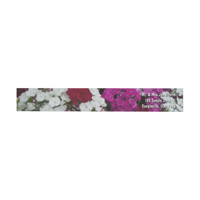 Vita, Rosa och Röda dianthus-Blommigten Etikettband (Individual)