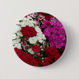 Vita, Rosa och Röda dianthus-Blommigten Knapp