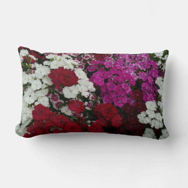Vita, Rosa och Röda dianthus-Blommigten Lumbarkudde (Framsida)