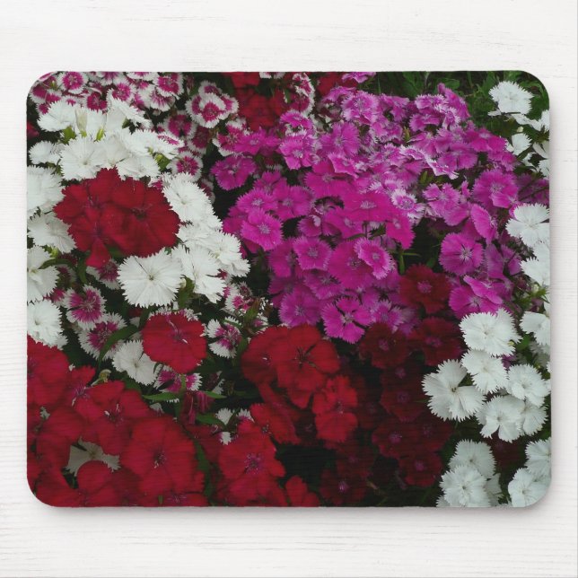 Vita, Rosa och Röda dianthus-Blommigten Musmatta (Framsidan)