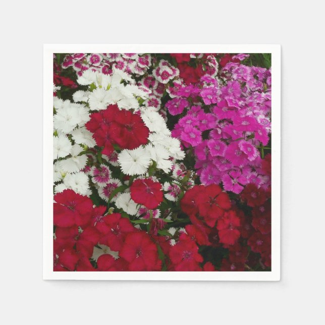 Vita, Rosa och Röda dianthus-Blommigten Pappersservett (Framsidan)