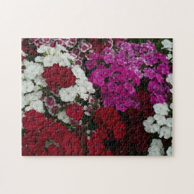 Vita, Rosa och Röda dianthus-Blommigten Pussel (Horisontell)