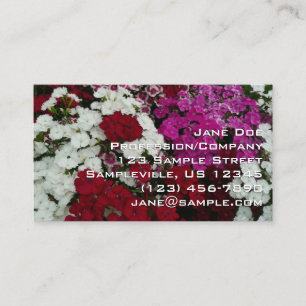 Vita, rosa och röda dianthus blommor visitkort