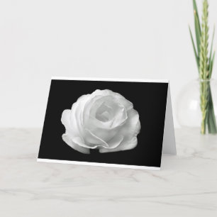 Vita Rosblommor Blommor Trädgård Fred Kärlek Konst Kort