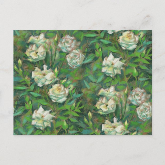 "Vita rosor, gröna blad", vackra blommor Vykort (Framsida)