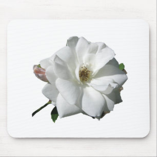 Vita Rosor Party Dusch Bröllop Blommor Öde Musmatta