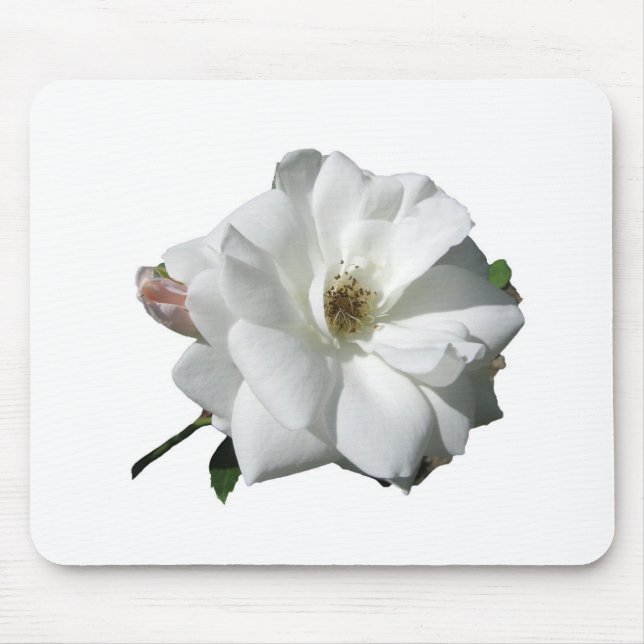 Vita Rosor Party Dusch Bröllop Blommor Öde Musmatta (Framsidan)