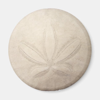 Vita Sand Dollar Magnet