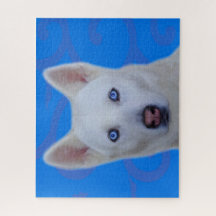 Vita Siberian husky-Jigszawapussel (BG)