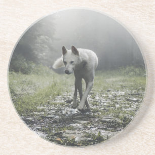 Vita Siberian husky Underlägg