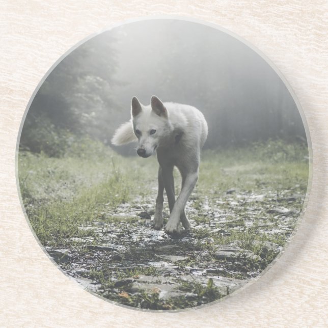 Vita Siberian husky Underlägg (Framsidan)