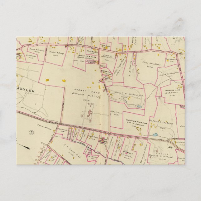 Vita slätter, New York Vykort (Framsida)