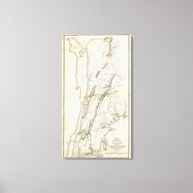 Vita slätter och vapen canvastryck (Framsida)