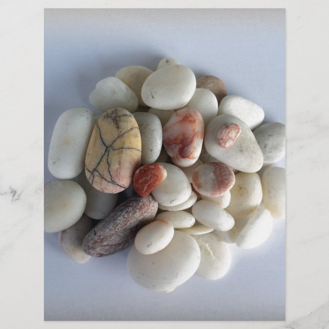 vita småstarna (Framsida)