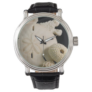 Vita snigelskal och sanddollar armbandsur