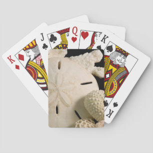 Vita snigelskal och sanddollar casinokort