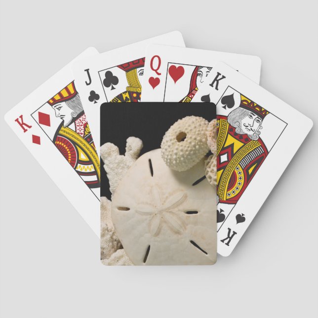 Vita snigelskal och sanddollar casinokort (Baksidan)