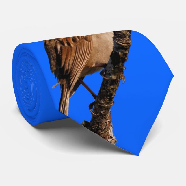 Vita Sparrow-Sjungorna till Sol Slips (Rullad)