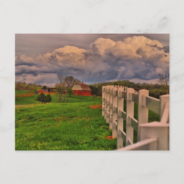 vita staketet vykort (Framsida)