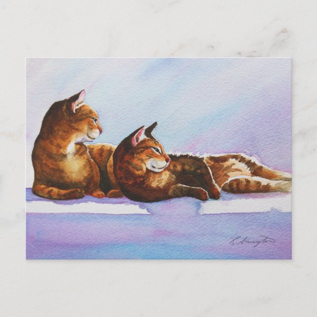 Vita steg-tabbies vykort (Framsida)